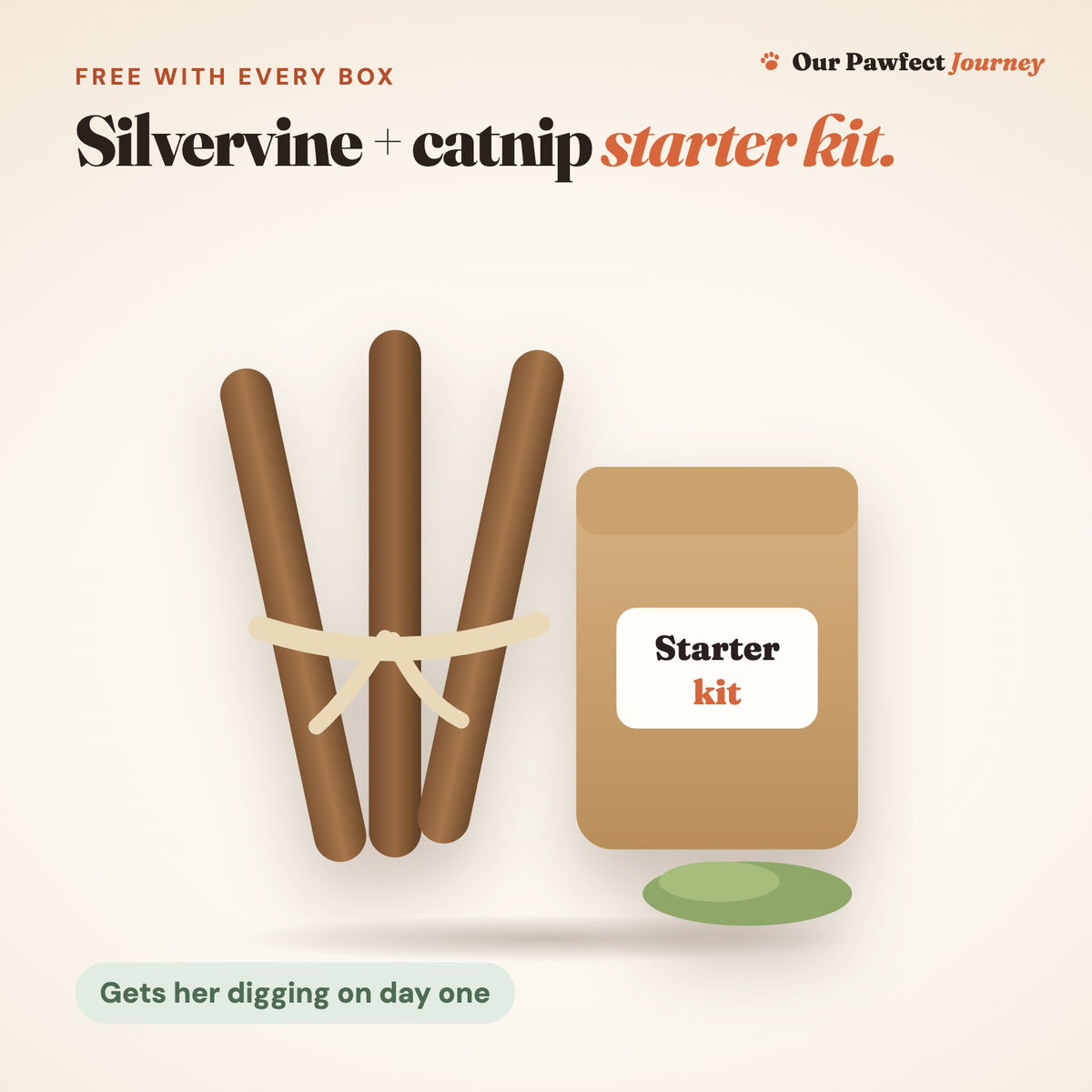 A silvervine + catnip starter kit: silvervine sticks and a kraft pouch