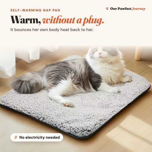 The self-warming nap pad with a cat lying on it: warm, without a plug