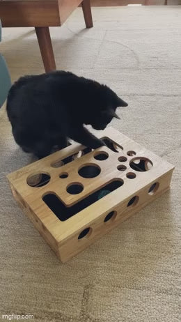A black cat pawing at the box, then walking around it