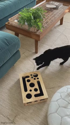 The Smooth Paw Box